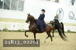 24R13_02294 thumbnail
