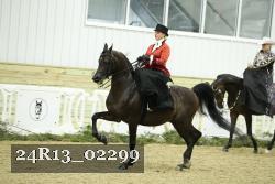 24R13_02299 thumbnail