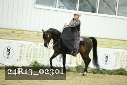 24R13_02301 thumbnail