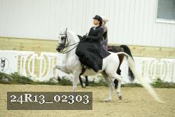 24R13_02303 thumbnail