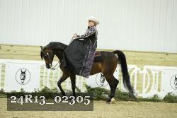 24R13_02305 thumbnail