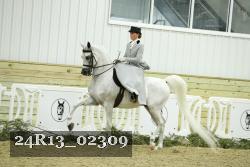 24R13_02309 thumbnail