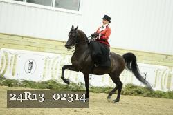 24R13_02314 thumbnail