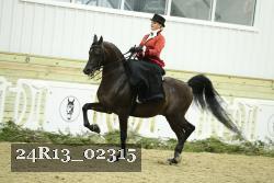 24R13_02315 thumbnail