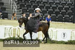 24R13_03390 thumbnail