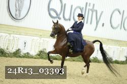 24R13_03393 thumbnail