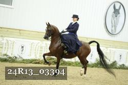 24R13_03394 thumbnail