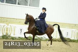 24R13_03395 thumbnail