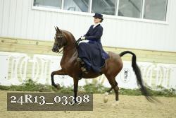 24R13_03398 thumbnail