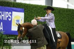 24R13_03411 thumbnail