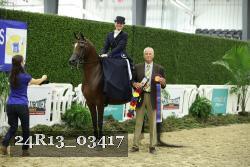 24R13_03417 thumbnail