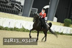 24R13_03418 thumbnail