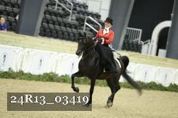 24R13_03419 thumbnail