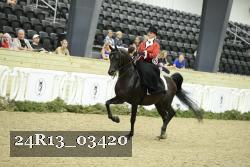 24R13_03420 thumbnail