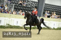 24R13_03421 thumbnail