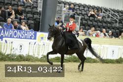 24R13_03422 thumbnail