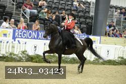 24R13_03423 thumbnail