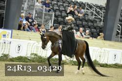 24R13_03429 thumbnail
