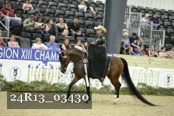 24R13_03430 thumbnail