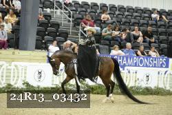 24R13_03432 thumbnail