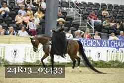24R13_03433 thumbnail