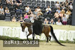 24R13_03434 thumbnail