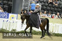 24R13_03435 thumbnail