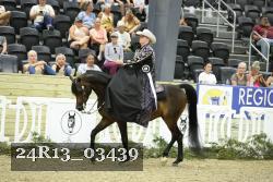 24R13_03439 thumbnail
