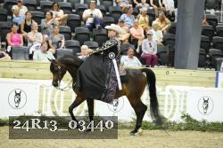 24R13_03440 thumbnail