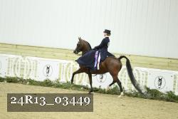 24R13_03449 thumbnail