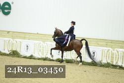 24R13_03450 thumbnail