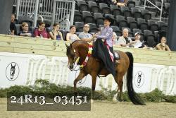 24R13_03451 thumbnail
