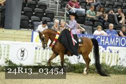 24R13_03454 thumbnail