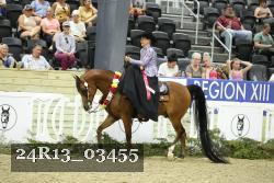 24R13_03455 thumbnail