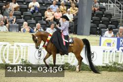 24R13_03456 thumbnail