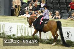 24R13_03459 thumbnail