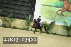 24R13_03460 thumbnail