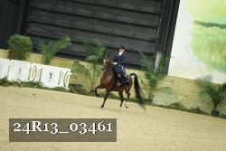 24R13_03461 thumbnail