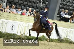 24R13_03464 thumbnail