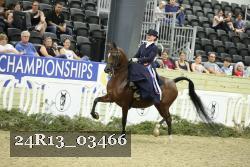 24R13_03466 thumbnail