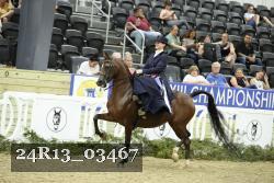 24R13_03467 thumbnail