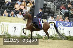 24R13_03468 thumbnail