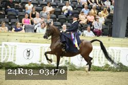 24R13_03470 thumbnail