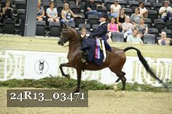 24R13_03471 thumbnail