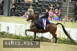 24R13_03472 thumbnail