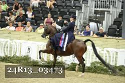 24R13_03473 thumbnail