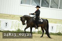 24R13_02323 thumbnail