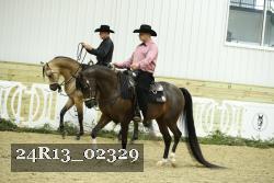 24R13_02329 thumbnail