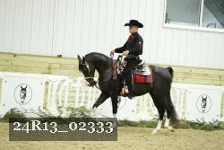 24R13_02333 thumbnail