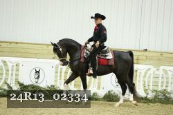 24R13_02334 thumbnail
